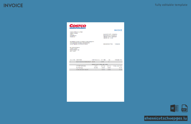 Beispiel einer Costco-Rechnung in den USA (Vorschau)